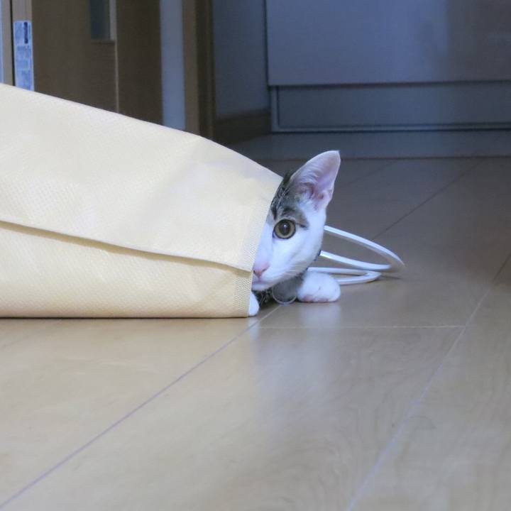 05d9dcd0 0bee 49eb 911b 1b78bd8ad55d