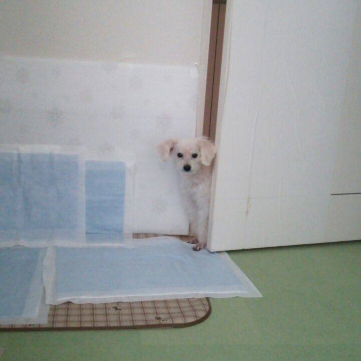 05d9f170 6429 4b2c b51f 83691b55cb77