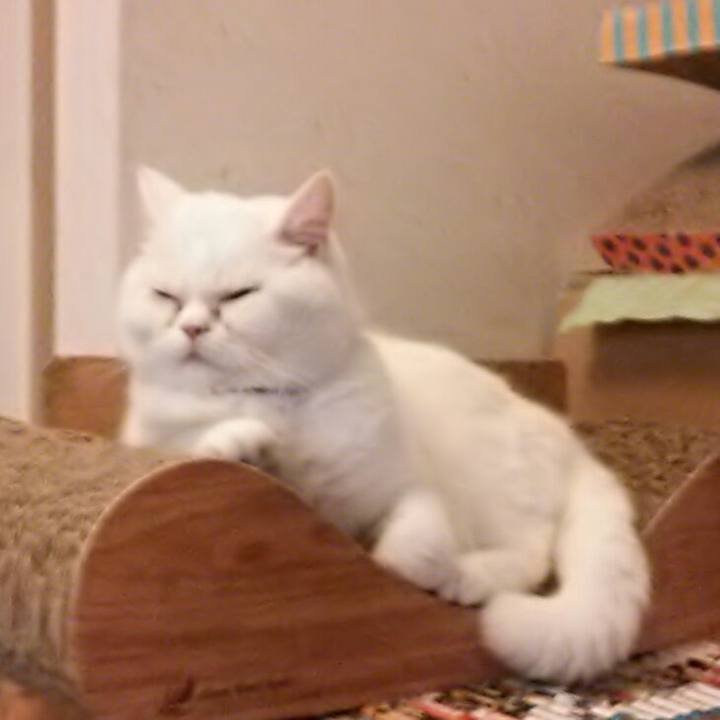 05db016a 4de6 4708 85d7 41cfb22d363f