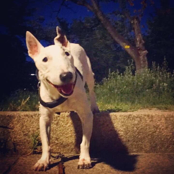 05db27f5 53e3 4882 9dee 4755098638c7