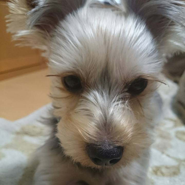 05db32e6 c933 4c57 8862 36dfa3aa39ae