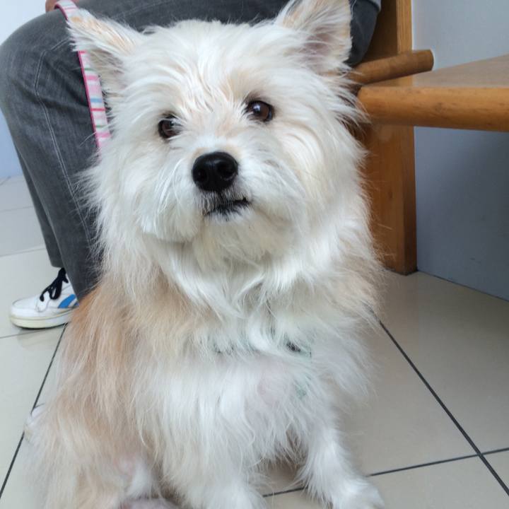 05db8181 ff48 4c23 a8a0 050c2773a9c7