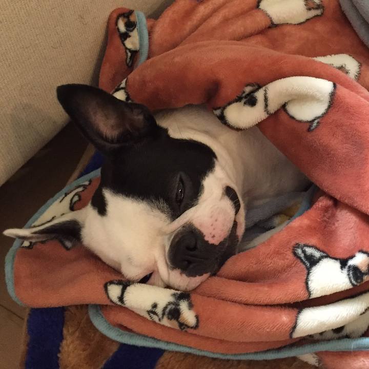 05db8b14 6005 4eda 863a 68c8ce5ec754