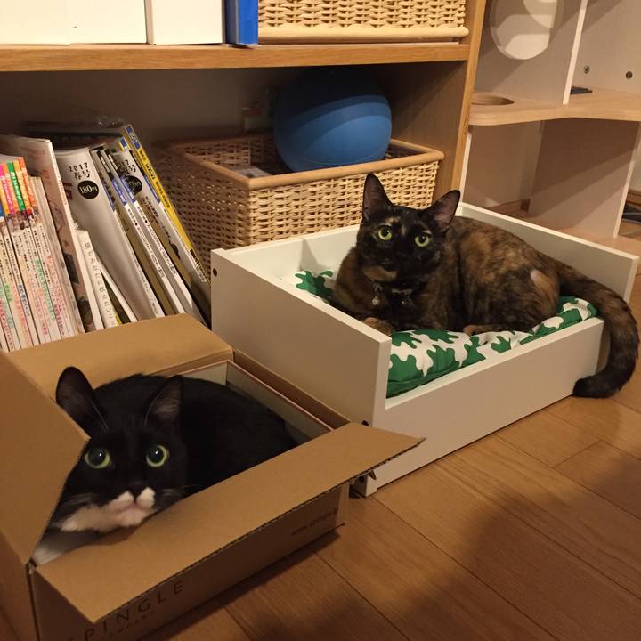 05dc7350 7e34 472e 9dc4 6f04b4b59aa4