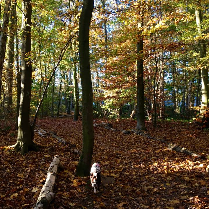 05dcbc02 924c 4734 94e7 afab32c3ac3b