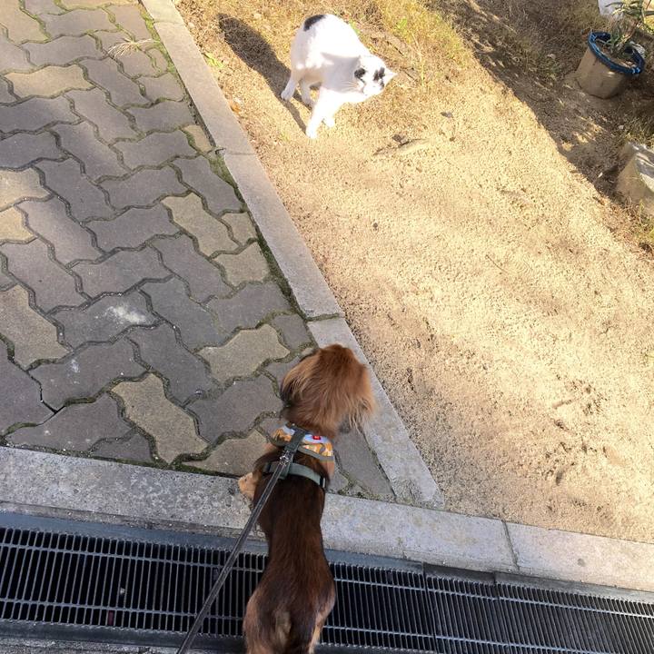 05dce491 caa4 4c3f ade6 6ff0c501e84c