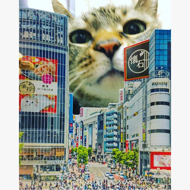 05ddbce5 c430 4c52 9b15 8ff25dd67f7f