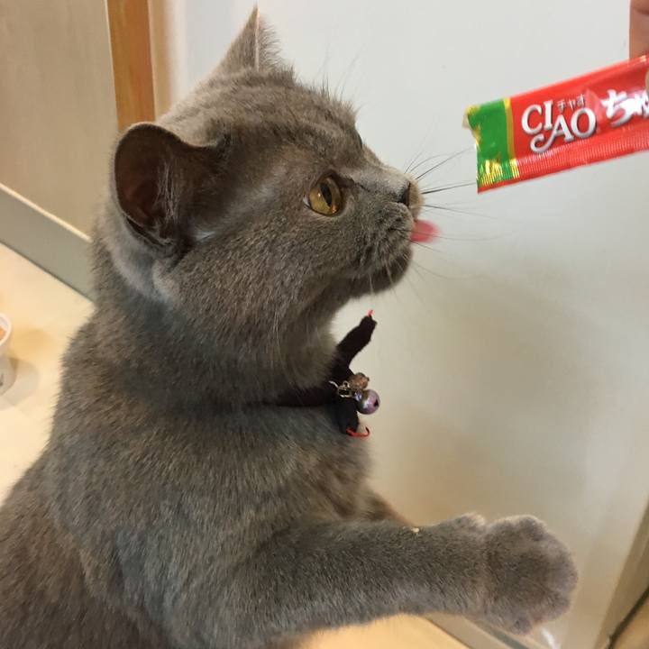 05ddd632 762c 4c55 8282 5e94e1c16377