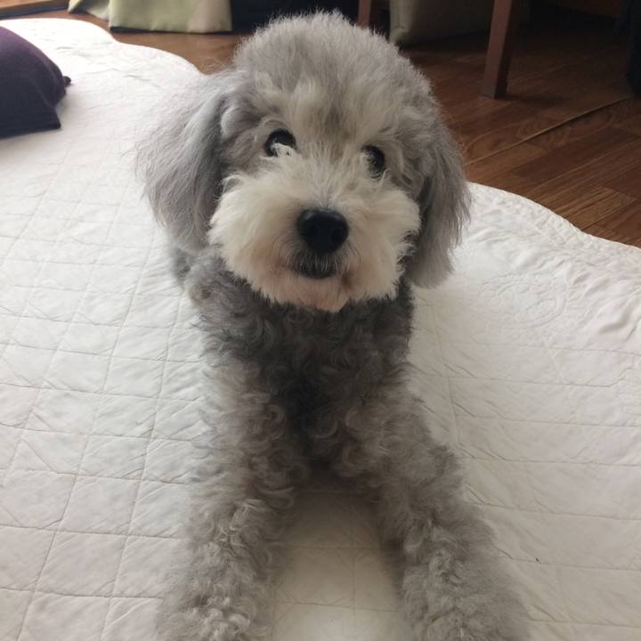 05de4e6f ddc7 4113 8ce0 20812989d463