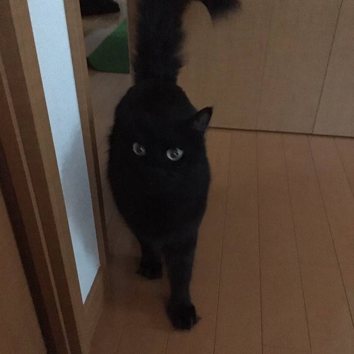 05dea759 6450 49ec aabb e4a8d0f0f92c