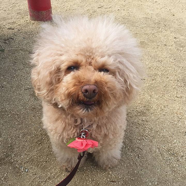 05e01691 44dd 4284 b059 1226e7e30f8f