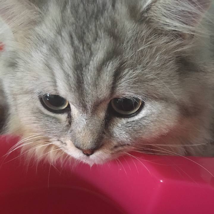 05e02236 cdcd 4007 8b5c fe70f0af580d