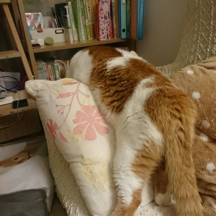 05e08d78 30cf 4ee6 ba69 19c935fe85db