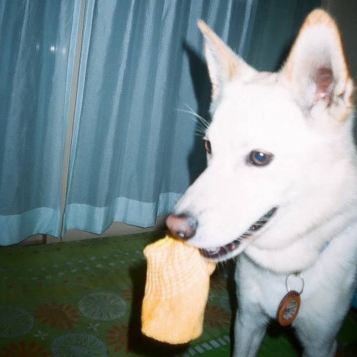 05e0d555 63fc 40af afcf e7bc8ff6ab6e