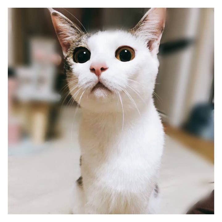 05e140d0 eafc 4a9f 9c9e bd95ba741a0e