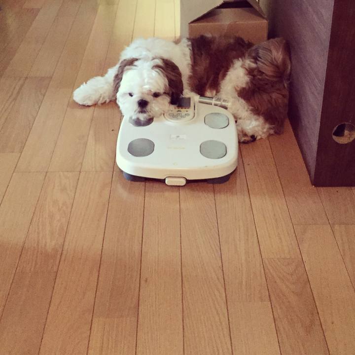 05e1596e 3709 4bb8 8245 8bc9a6d0a88a