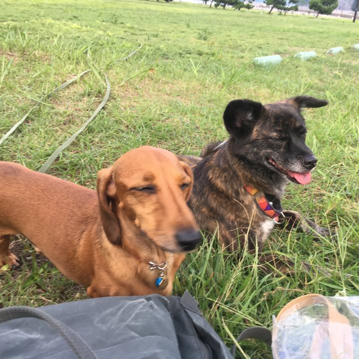 05e18444 6af5 4eca 8932 e470652e4ed2