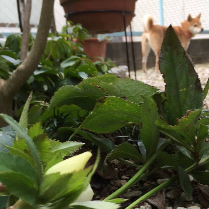 05e301b5 6d47 45fe 9e8b c36fdd9a25ab