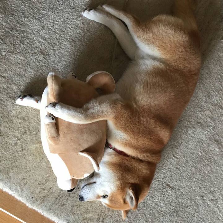 05e3321a 0aa2 4c48 a2a0 c8ffbc4d484b