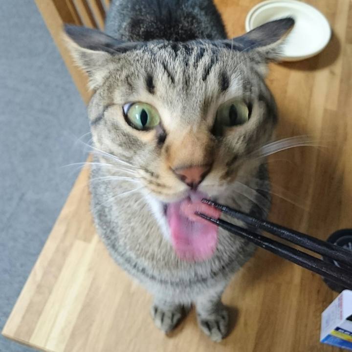 05e35151 c815 4519 8999 f8202ee6fe10