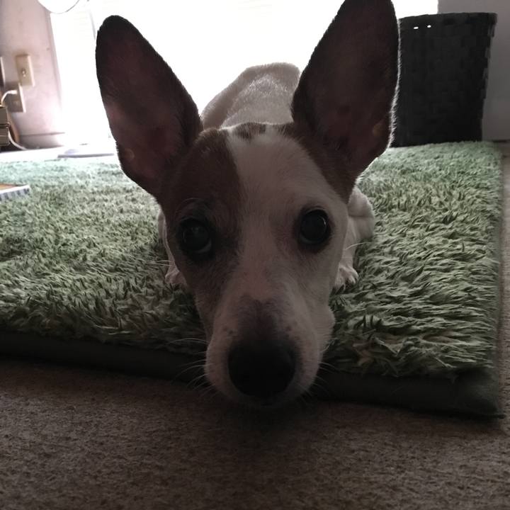 05e38d28 f795 4efc a673 00b7da4ba1cf