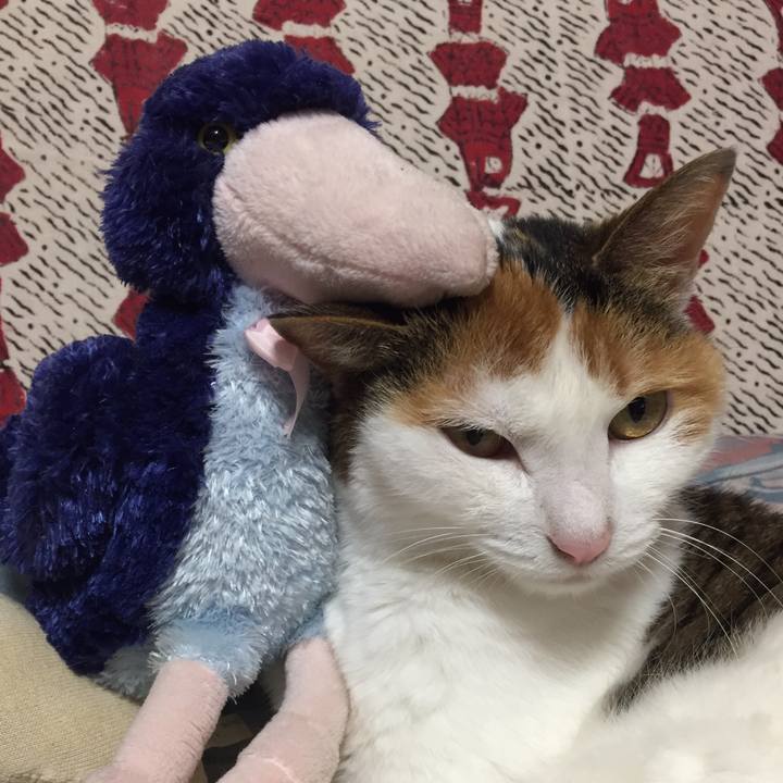 05e3a5a2 4930 48c4 9d57 dc608a5fe8d3