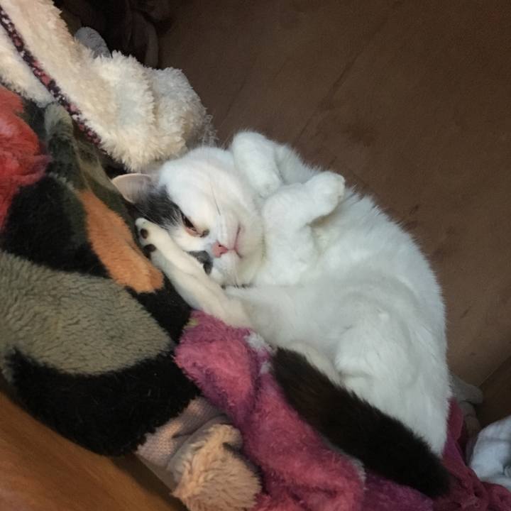 05e3aacf b3a2 4a99 95b2 7fb0540481ef