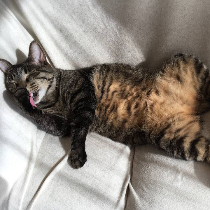 05e3b513 8d27 4e50 9e0d 31347b5b44bb