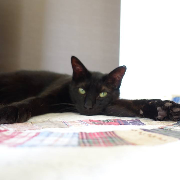 05e3fd8f 0e93 4a9b 8d8a 39424e3c140a