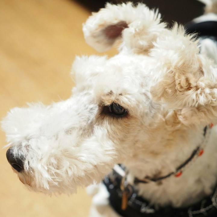 05e4050d 5442 414c 8b9d f64840479058