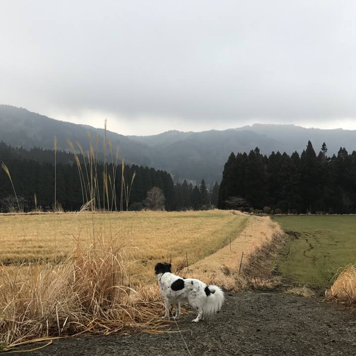 05e449d1 aab5 439a b3f0 75927b933424