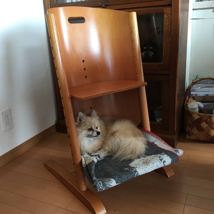 05e45f3e b721 4cbf ae13 0412f49e7845