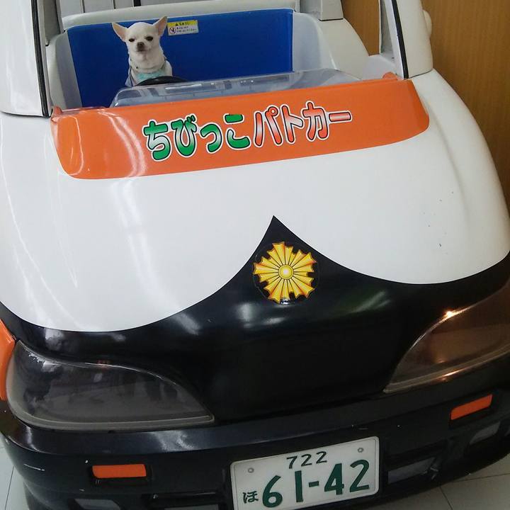 05e46bfc 732e 4d21 83b4 897609422331