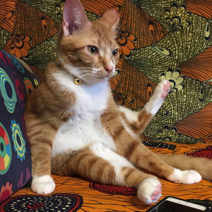 05e4a183 d422 4627 bb22 52497e709e4f