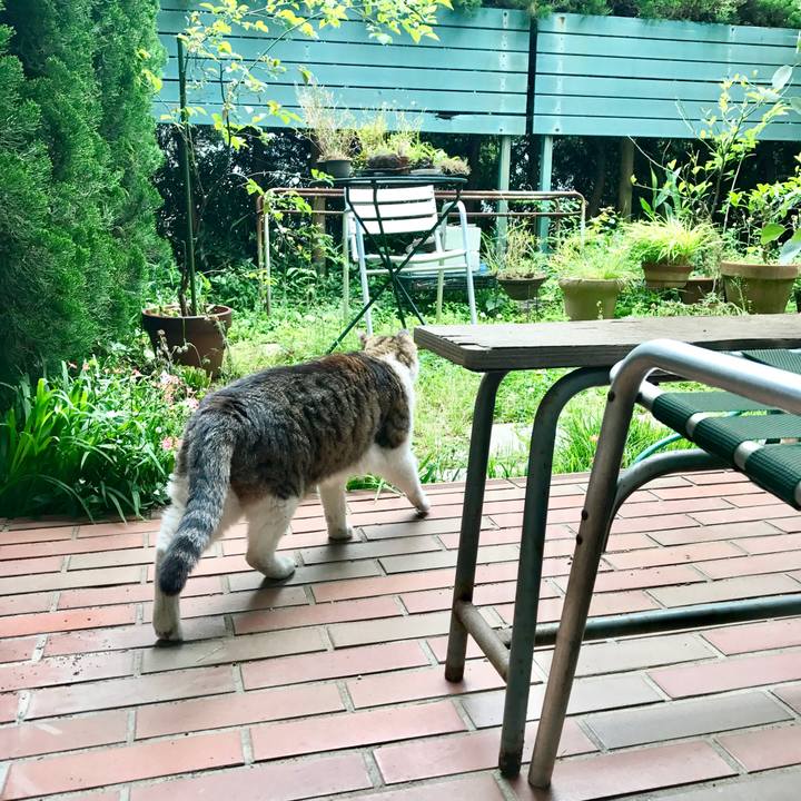 05e4eddc ae8e 4464 9640 b5a4cfe3cf75