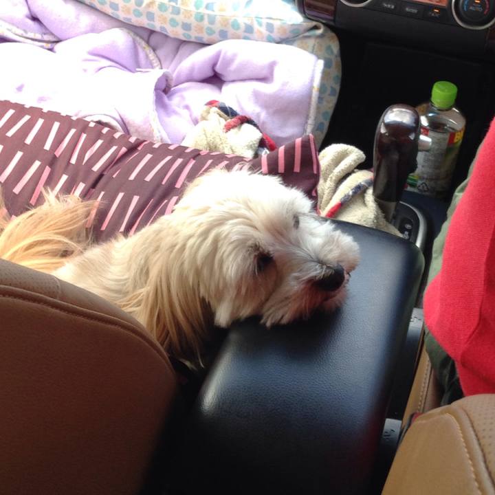 05e51b5c 211d 4b1a ada1 63434a49ef16