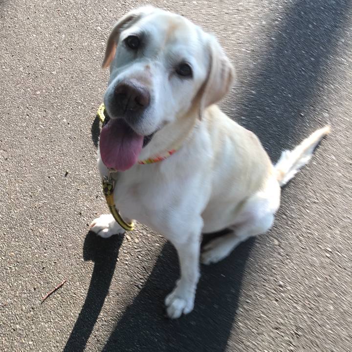 05e6545e d8a5 4d68 87a7 1dd12f1aad3e