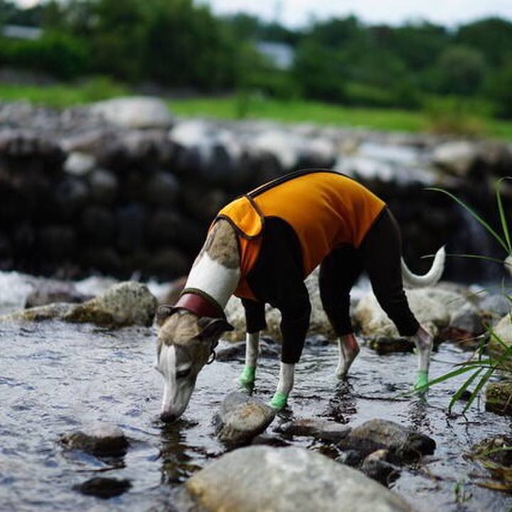 05e68013 571d 416b a067 d6ab523e8ade