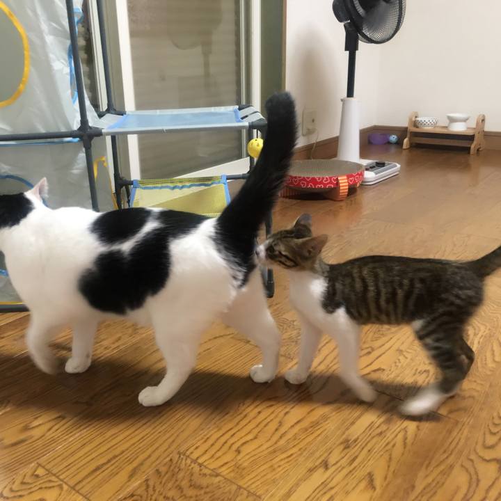 05e7346d 3377 4728 bd80 2f7bdeccfe2b