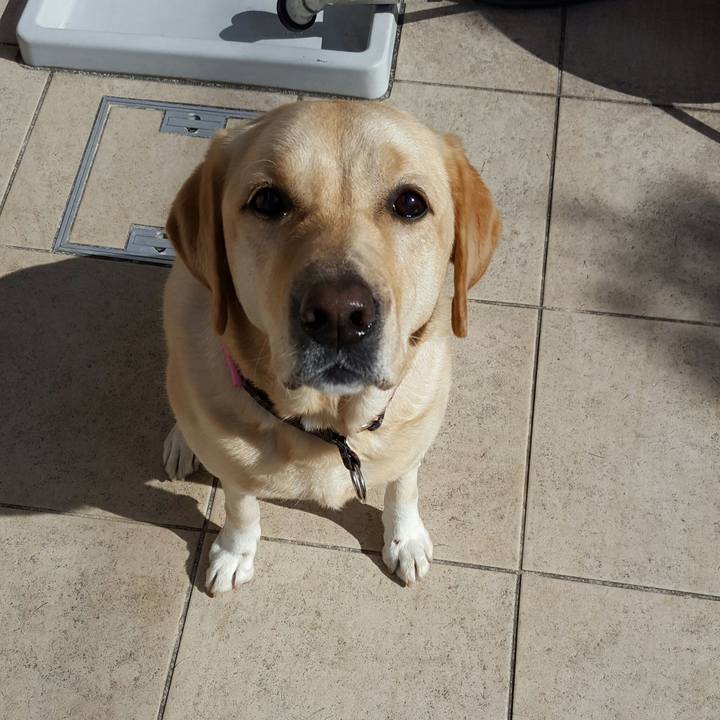 05e7792c 9dc7 4679 99ea f99f61df1a94