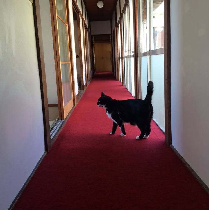 05e7ad86 3277 447a afa9 39c094d6cd59