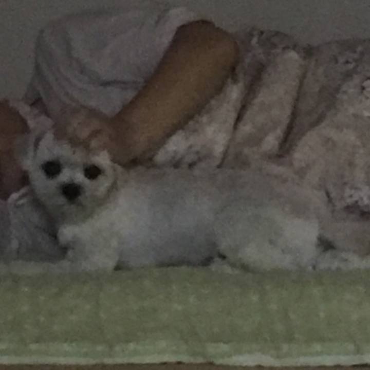 05e7d55a 7401 41a9 a3bb 00a12cad6b4d