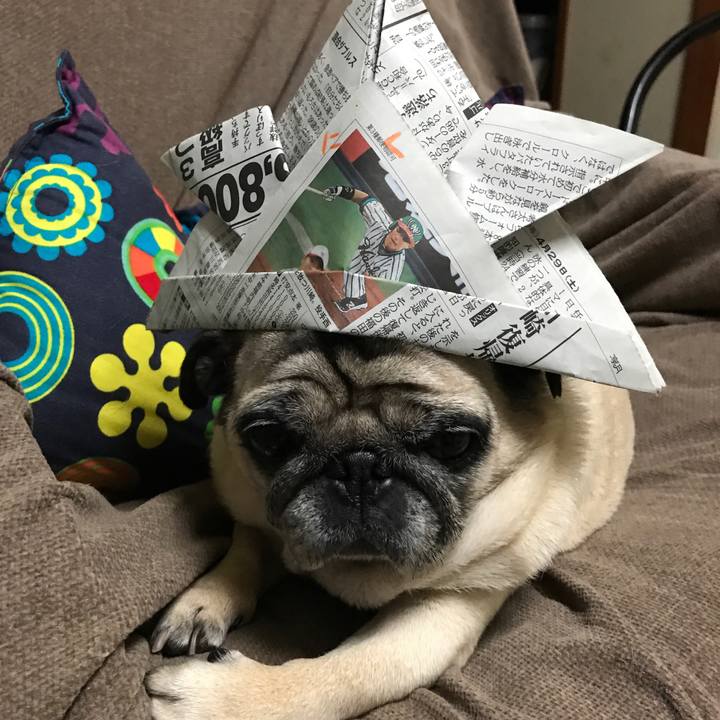 05e83429 6394 4b35 8be4 d89bb34a6a71