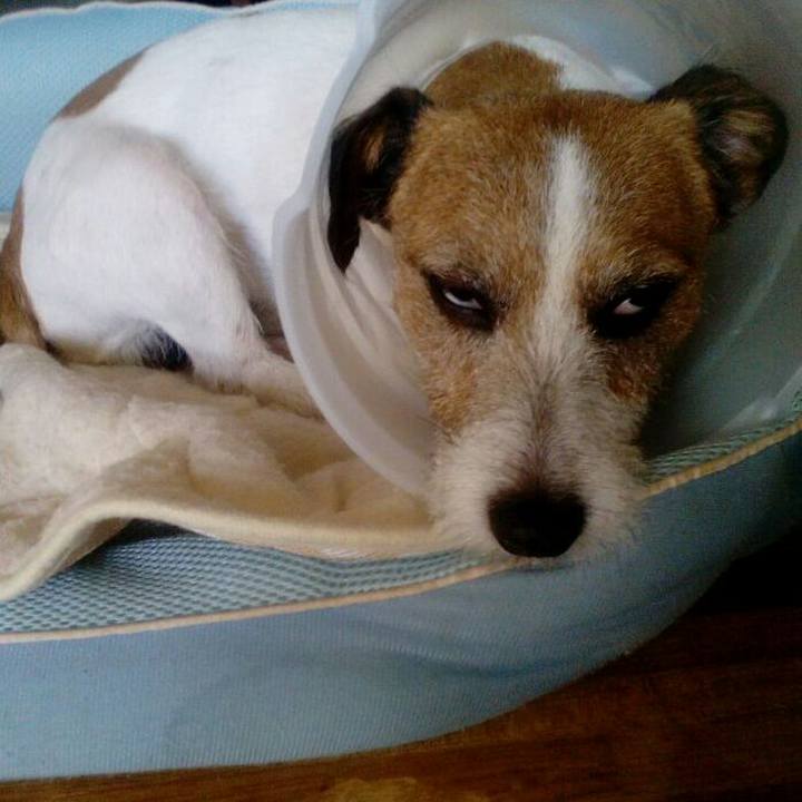 05e84e3b 4cbc 406f b699 4a1070654f7c