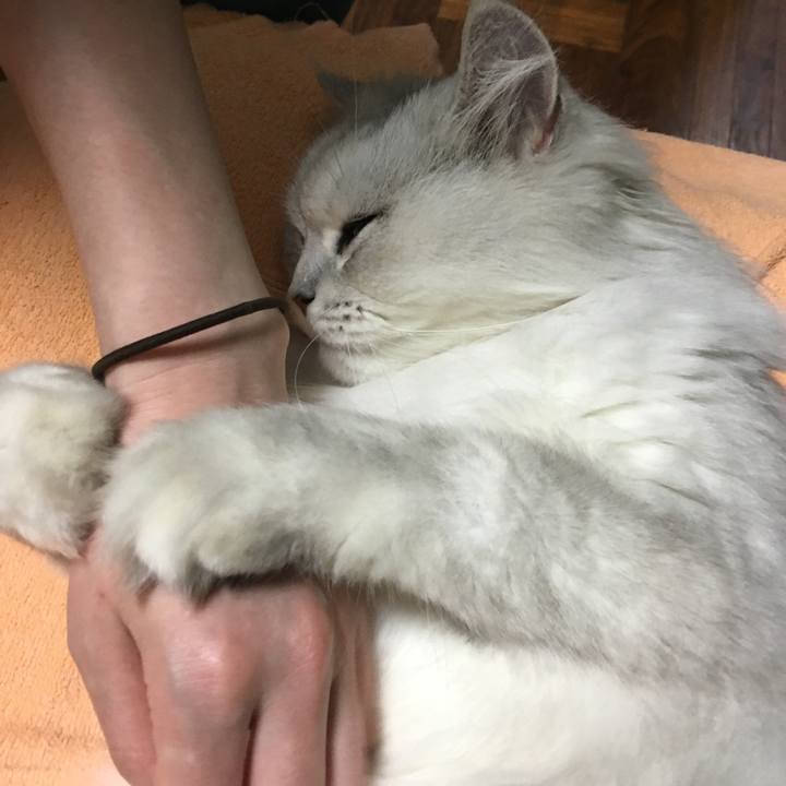 05e89773 612e 4d82 ad0b 4f9931a83d33