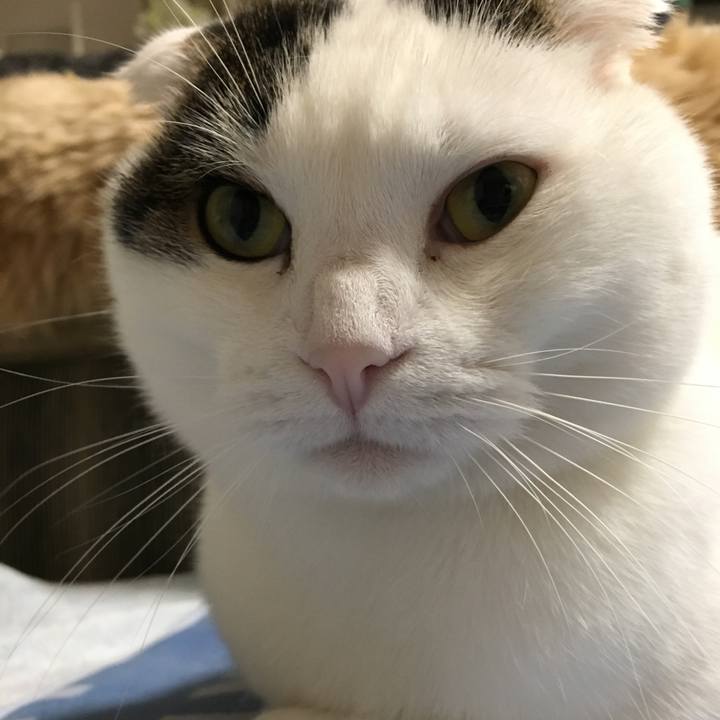 05e8b1d1 c1ff 4f04 9bb4 961ad1007946