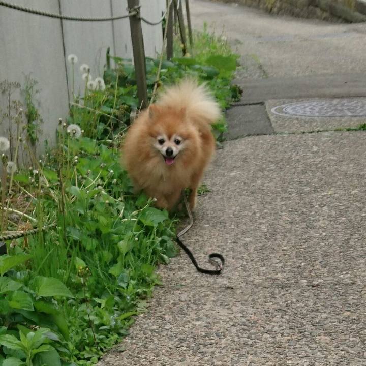 05e90b5d f52c 4a88 93bd 3306872e0a5a