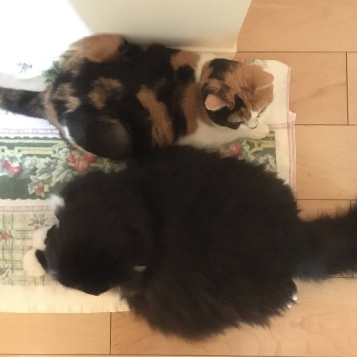 05e9262e f0dd 4fd0 b0c1 bbde46d35ae5