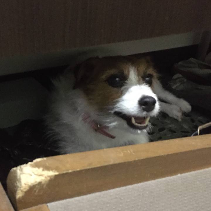 05e935b0 2b11 46c2 8560 64626144006c