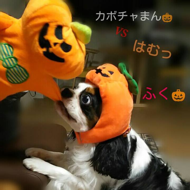 05e99a76 2415 4514 95da 557d3e1f9281